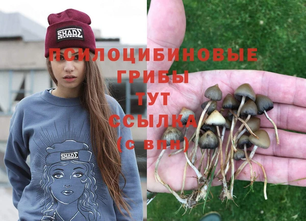 молекула духа Дмитриев