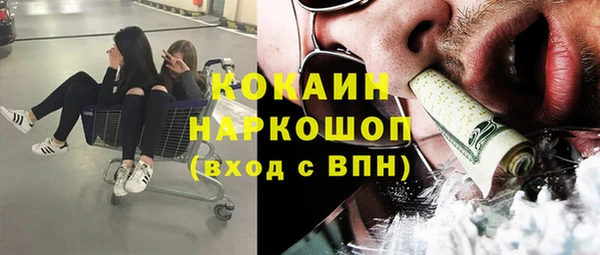 соль ск Няндома